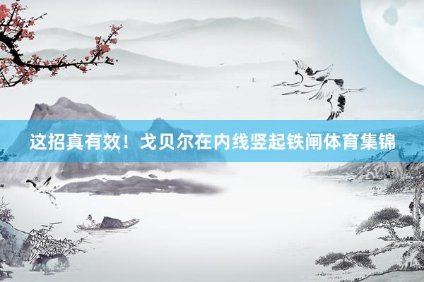 这招真有效！戈贝尔在内线竖起铁闸体育集锦