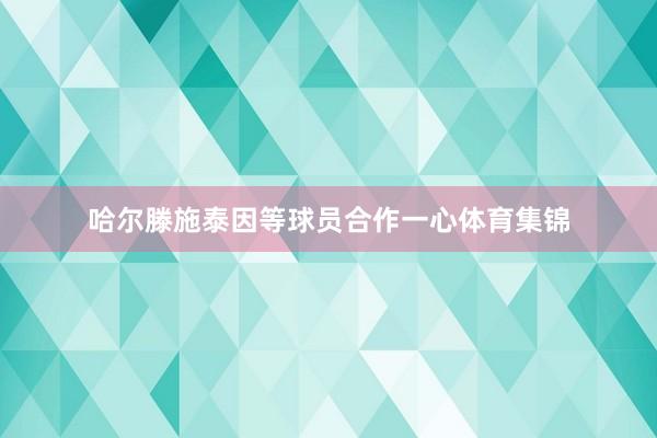哈尔滕施泰因等球员合作一心体育集锦