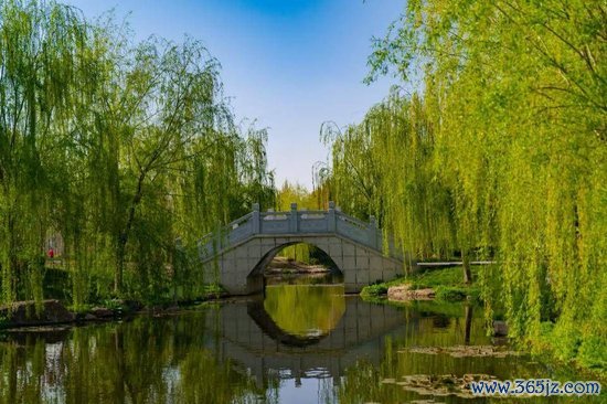  山东文化产业职业学院优好意思的校园征象