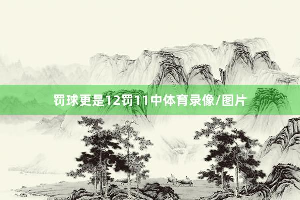 罚球更是12罚11中体育录像/图片