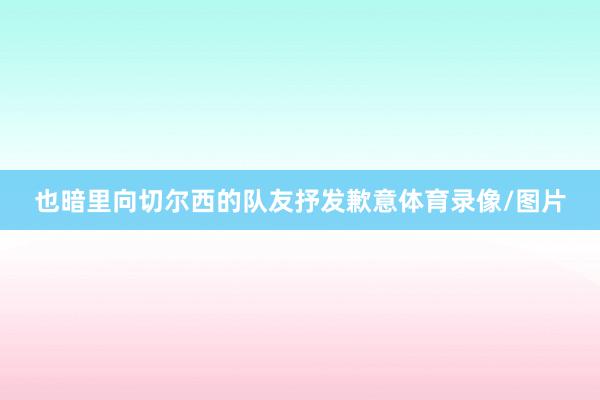 也暗里向切尔西的队友抒发歉意体育录像/图片