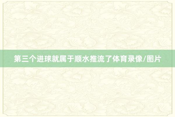 第三个进球就属于顺水推流了体育录像/图片