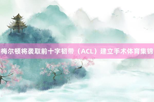 梅尔顿将袭取前十字韧带（ACL）建立手术体育集锦