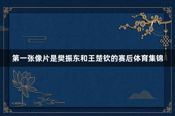 第一张像片是樊振东和王楚钦的赛后体育集锦