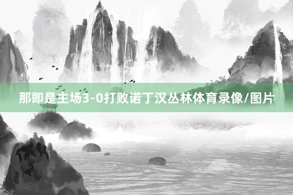 那即是主场3-0打败诺丁汉丛林体育录像/图片