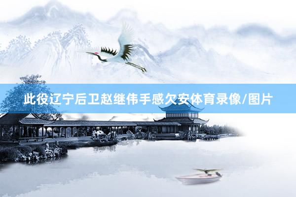 此役辽宁后卫赵继伟手感欠安体育录像/图片