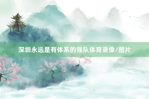 深圳永远是有体系的强队体育录像/图片