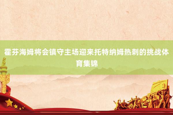 霍芬海姆将会镇守主场迎来托特纳姆热刺的挑战体育集锦