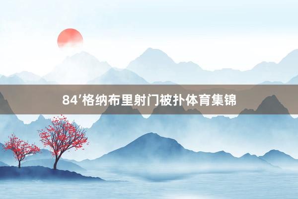 84’格纳布里射门被扑体育集锦